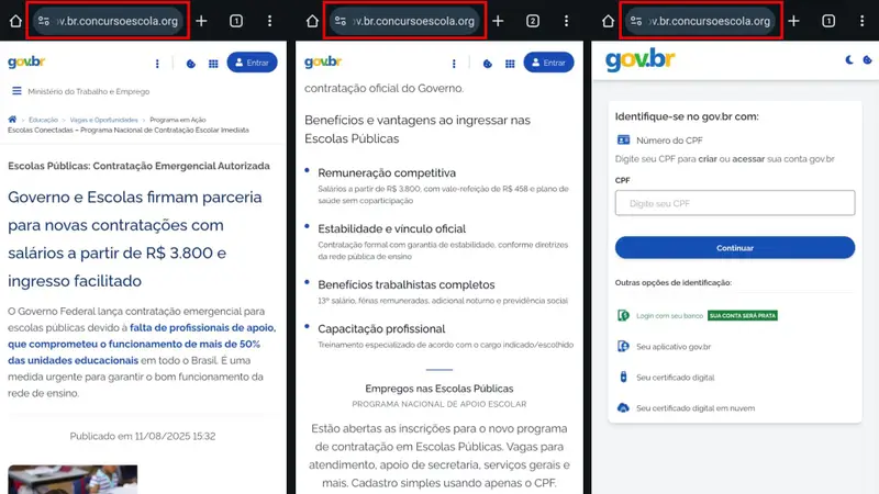 Exemplo de site falso do gov.br